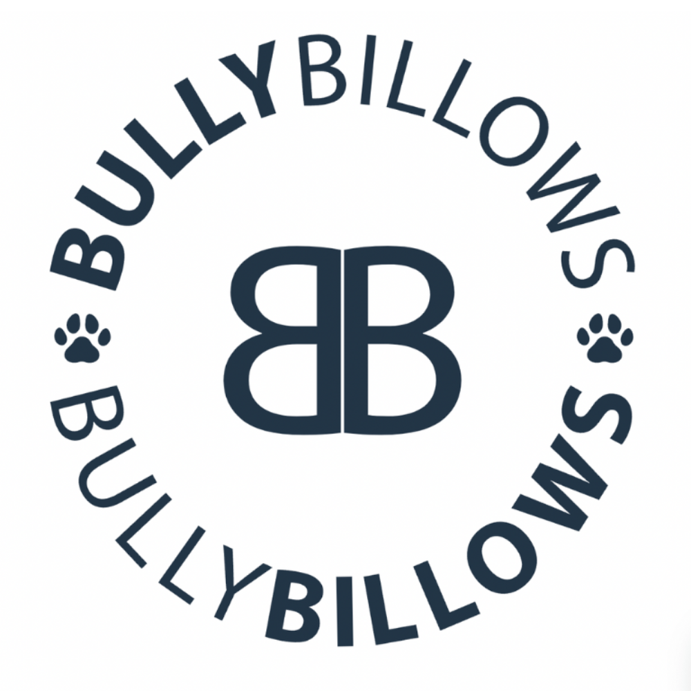BullyBillows cashback, discount codes and deals Easyfundraising